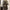 257ff9e6-3831-493d-a578-006e83c4f839-Max