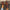 27e7413c9bcf415fa65a0657082f96ef-Max-Origin