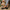 283c2839-02dc-4321-9063-565168662383-Max