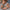 2857a68a-cc60-4a2d-9270-01ab4d9a649d-Max-Origin