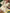 286d9302-4a05-422b-9e8a-750726b9d843-Max-Origin