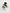 287f7c4e5a9d498488a7cc08b67314c7-Max-Origin