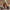 29543ced-cb0f-4d14-81d6-05c2c2af1c16-Max-Origin