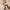 295603c5-4a2d-40d3-9856-c2aa9a1430b9-Max