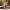 29da397d-bc8b-4a30-9b1c-1f7e5573c246-Max-Origin