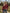2c8a829df5874521aff4a3d003ccaebc-Max