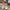 2d544496-c4b4-471f-bd7b-242d3829d507-Max
