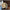 2dd75171b6104b55a164577160ccce30-Max-Origin