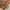 2de3e957-f32a-4f0b-bce7-30a03148e212-Max