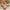 2f1eef541fa24ed0ad057bc3aa4e0121-Max-Origin
