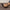 2fd038bf-7afe-4928-9596-165f04d815e5-Max-Origin