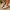 301c7161d3954542b718a29976f8051b-Max-Origin