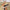 30755c43-f191-42c1-ae0c-6f8fc98e42ee-Max-Origin