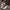 3095197c994d4e78be687a9c5b47edfb-Max-Origin