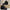 310aa5ec-2e7e-4eaf-962f-323e4a52ca7d-Max