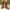 315c7a56-dbf0-437a-b205-164934339270-Max