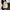 31c70727-2c8a-4e68-9d03-1cbacb6d9a0b-Max