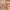 32a99770-b4d1-4a1c-8bd8-8446a8a521fe-Max-Origin