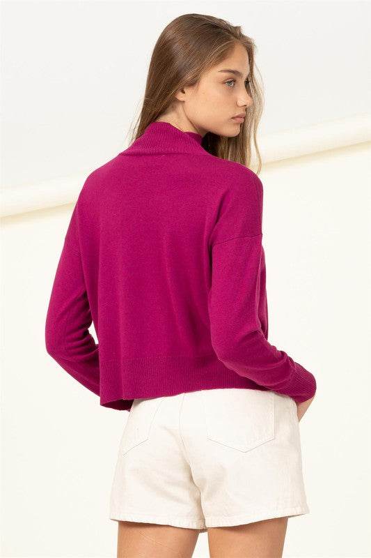 Warm Personality High-Neckline Sweater - DaTrendStore.Com