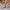 354439d8945644208af5584014ad4959-Max-Origin