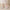 35df1a0ee07c4d9db2f051e6755b9162-Max-Origin