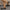35f23b912e9c46789b0e089603741169-Max-Origin