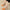 37e8e3e9-8ee5-4c2a-8a1e-95c68a42fcad-Max