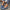37f822c4-b792-4836-b3bd-7ba729b5d924-Max