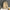38729eea-5dcf-4859-b487-b41228edb4f8-Max