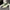 38df52af-b187-4268-a73c-53f203f0d3b2-Max-Origin