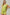 399e5eeb2fe447c4a5893e9e26f32383-Max-Origin