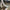 3b396956-cd6d-4d0c-80e4-b59ad9c721a4-Max