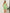 3b5262ef-046e-46c0-96d9-2ce276a3333c-Max