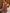 3c226d2366d2463db427dfd7189cb8f7-Max-Origin