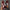 3c9b140e6d434b8399acc4c2c5685e0a-Max-Origin