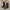 3d032124-be5b-4b67-9ee7-c30a74c65475-Max
