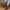 3d415d6b-4794-41fd-a77d-109e61686708-Max