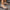 3e93d2c667764057805712aa0ac7f2cc-Max-Origin
