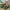 41234199-49fe-405d-94ae-2eca2f1c1115-Max-Origin
