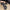 4299e5ac-b894-4224-9725-f2a42450e315-Max-Origin