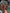42c6820a-9e13-461f-9a67-38e74e567b3a-Max-Origin