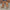 43608454-f4e4-4e25-99b2-6a2e19e57124-Max
