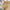 43aea8c8869b4dc5b0f4e3622acf834d-Max-Origin