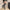43ed319b-0dcc-471e-b5c6-a4d842049762-Max-Origin