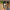 44085b0c-eb69-4bb7-8561-aeb28878991c-Max