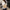 442f81c4beb74a98b996213002801042-Max-Origin