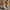 44fc0fb6-f7fc-4cf2-85ba-f6351bce730a-Max-Origin