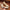 45abc40f-34a7-44a3-b99a-2c4075722ef3-Max