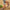 46d8a381-72dd-41f0-bee6-e09db6e39dd0-Max-Origin
