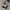 46da345023904511806afbfbdc669406-Max-Origin